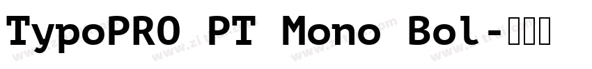 TypoPRO PT Mono Bol字体转换